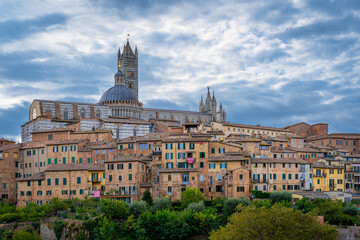 Naklejka premium View of old town of Siena. Tuscany, Italy, Europe.