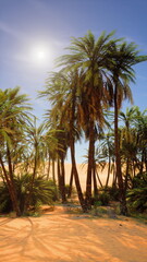 Obraz premium Lush palm trees sway gently in the warm breeze, casting their shadows on golden sands beneath a clear blue sky. The sun shines brightly, creating a serene oasis atmosphere in the desert.
