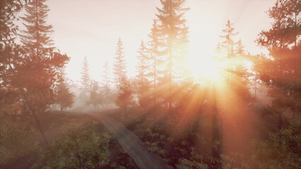 Obraz premium Golden rays of sunlight emerge through tall trees in a peaceful forest setting. The tranquil scene captures the beauty of nature during the early morning hours, inviting a sense of calm.