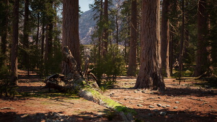 Obraz premium A peaceful forest scene reveals tall trees reaching for the sky. Sunlight filters through branches, casting shadows on the ground. Moss covers fallen logs, adding to the natural beauty.