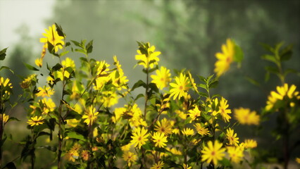 Obraz premium Vibrant yellow flowers dance in the breeze under a clear blue sky, filling the meadow with color. Sunlight filters through the trees, creating a serene atmosphere perfect for relaxation.