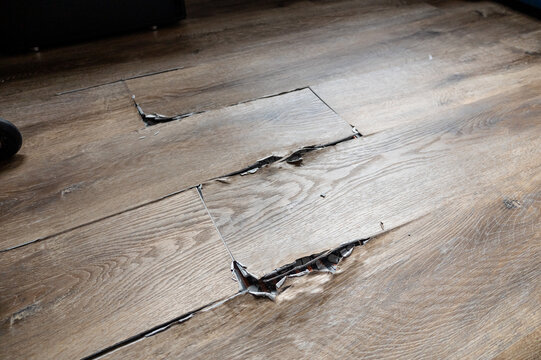 buckled laminate floor with torn planks and visible crack caused by heated floor expansion. closeup of damaged floor covering with lifted edges