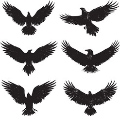 Obraz premium Flock of black crows flying in formation against white background, minimalist silhouette, dynamic motion, wildlife art 