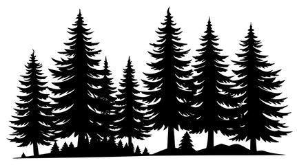 Fir trees Black Silhouette vector,Pine trees skyline silhouette © Silhouette Store12