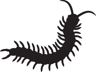 Fototapeta premium Centipede Silhouette in Vector