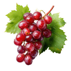 Fototapeta premium A bunch of red grapes with green leaves