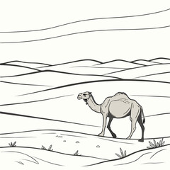 Fototapeta premium Camel walking in desert dunes