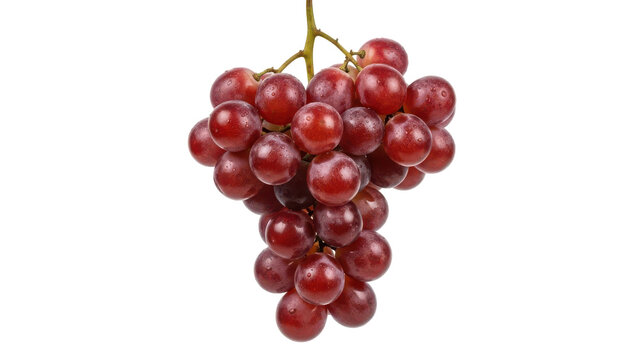 Fresh cluster of red grapes