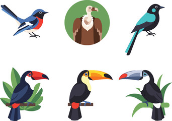 Fototapeta premium Diverse Tropical Bird Collection Featuring Toucan Vulture and Songbirds Flat Vector Illustration SetDiverse Tropical Bird Collection Featuring Toucan Vulture and Songbirds Flat Vector Illustration Set