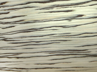 Black and White Texture Wood Veneer Pattern, with Abstract Horizontal Line