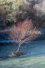 Fiume Aniene nei pressi di Trevi nel Lazio - Frosinone - Lazio - Italia