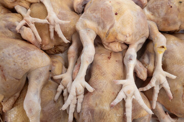 Raw whole chicken poultry stacked for food safety,