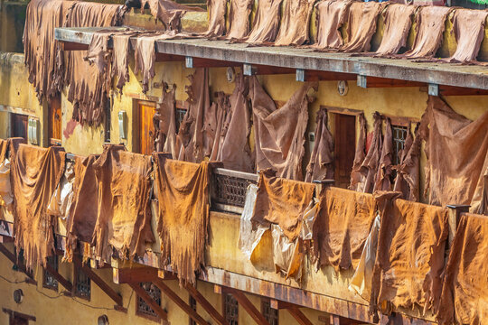 Fes, Morocco, historic Tannery Chouara, leather laid out to dry after dyeing