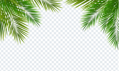 Eco Frame And Green Palm Tree Leaves © barbaliss