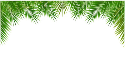 palm tree frame © barbaliss