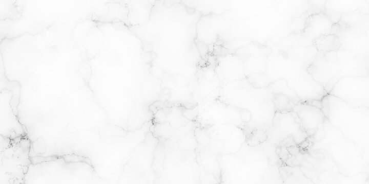 Panorama blank concrete marble white rough wall for background. Paper texture and vector design stucco gray stone table top view. White Carrara marble texture background.