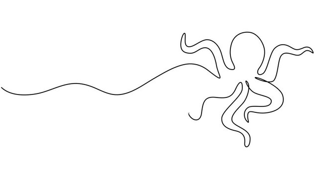 Animated self drawing of single continuous line draw giant octopus for aquarium world logo identity. Legendary kraken animal mascot concept for aquatic show icon. Full length one line animation.