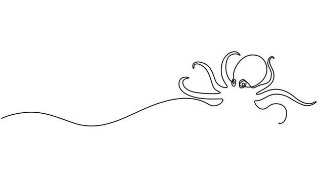Animated self drawing of single continuous line draw giant octopus for aquarium world logo identity. Legendary kraken animal mascot concept for aquatic show icon. Full length one line animation.