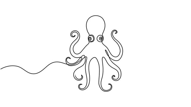 Animated self drawing of single continuous line draw giant octopus for aquarium world logo identity. Legendary kraken animal mascot concept for aquatic show icon. Full length one line animation.