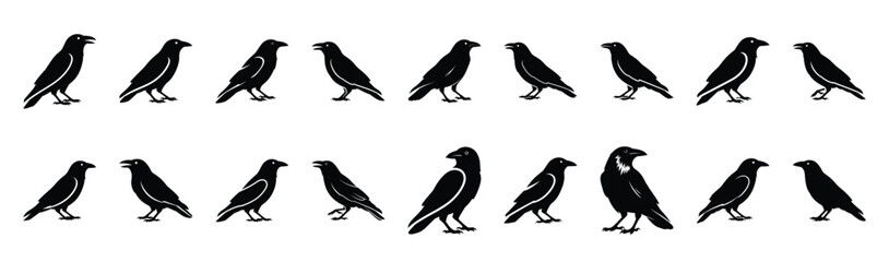 Fototapeta premium crow standing pose silhouette illustration collection. Animals drawing illustration isolated on white background.