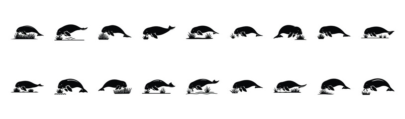 Fototapeta premium dugong grazing seagrass pose silhouette illustration collection. Animals drawing illustration isolated on white background.