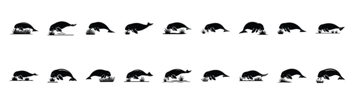 dugong grazing seagrass pose silhouette illustration collection. Animals drawing illustration isolated on white background.