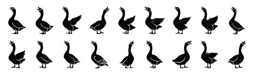 goose honking pose silhouette illustration collection. Animals drawing illustration isolated on white background. © Krishna