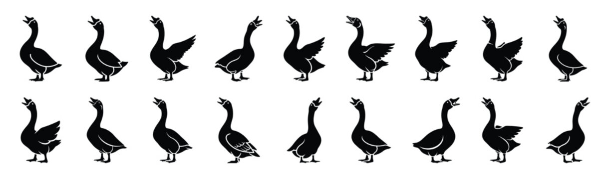 goose honking pose silhouette illustration collection. Animals drawing illustration isolated on white background.