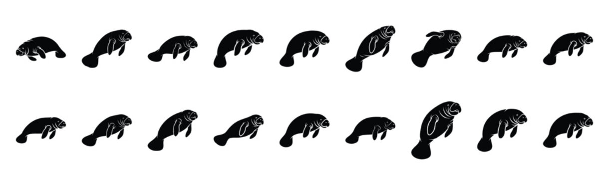 manatee floating pose silhouette illustration collection. Animals drawing illustration isolated on white background.
