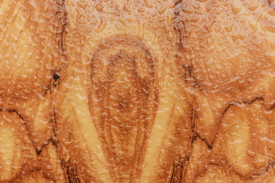 Close-up of water droplets on wooden surface texture