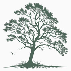 Solitary tree in nature