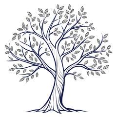Obraz premium Elegant tree with branches and leaves