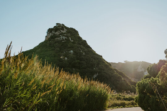 Mountain peak in a lush green landscape under bright sky
