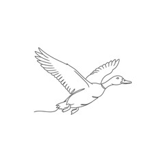 Duck Flying Through the Air Sketch.