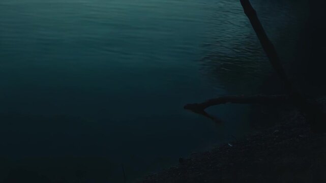 Ethereal morning light slices through thick teal tinged fog and bare tree branches, casting moody blue green silhouettes over a tranquil, mysterious winter landscape