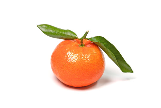 Mandarine, Citrus reticulata, vor wei&szlig;em Hintergrund