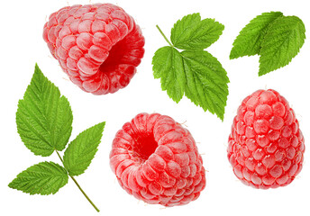 Raspberries and leaves extremely close-up on a white isolated background