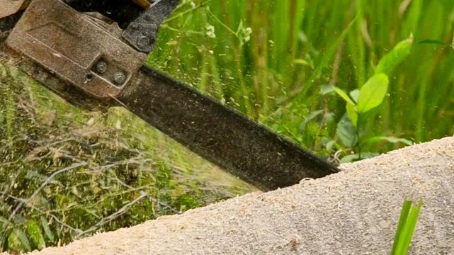 Wooden cutting