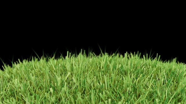 Looping 3D animation of a rotating grassy sphere with yellow flowers and alpha channel &mdash; ideal for spring and summer collection branding visuals