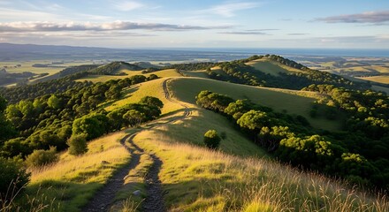 Obraz premium Rural Landscape with Rolling Hills and Trees.