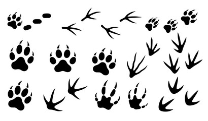 Fototapeta premium Wildlife and pet animal track vector set with paw hoof and bird footprints