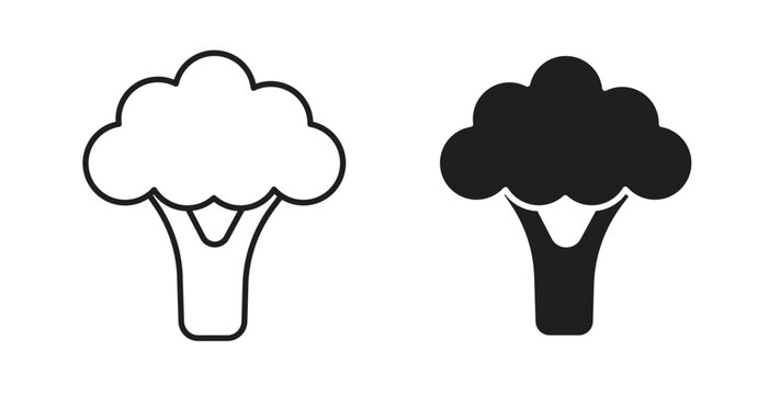 Broccoli icon vector Illustration and outline Icons. vector silhouette.