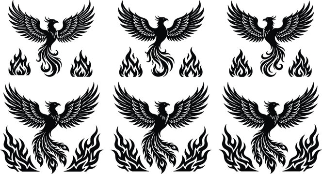 Stylized black phoenix silhouette set with rising flame variations for mythological design, rebirth symbolism, fantasy illustration, and decorative vector artwork.