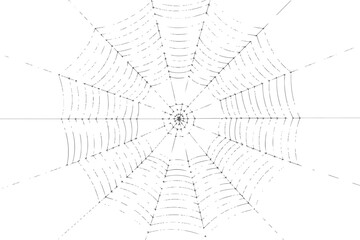 Obraz premium Realistic spider web with dew drops,Detailed black line art of a spider web.