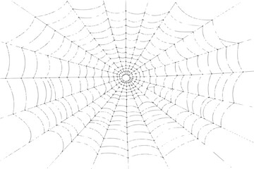 Obraz premium Realistic spider web with dew drops,Detailed black line art of a spider web.