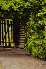 Rustic wooden forest gate entrance framed by lush green plants in Dziekanowice Poland
