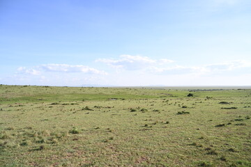 clear sky landscape of Masai mara 