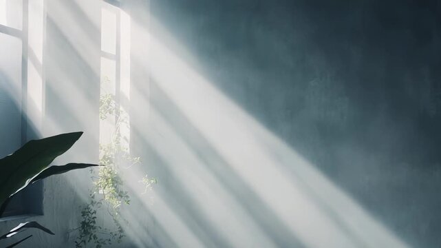 Sunlight beams create strong light and shadow patterns on a concrete floor and dusty air, revealing a potted plant and a climbing plant near a tall window