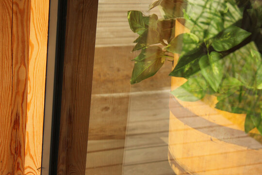Cafe interior seen through glass with decorative potted plant