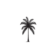 Obraz premium Silhouette of a single coconut palm tree.